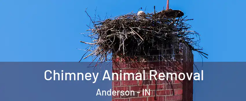 Chimney Animal Removal Anderson - IN