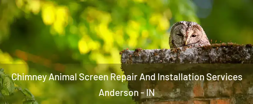  Chimney Animal Screen Repair And Installation Services Anderson - IN