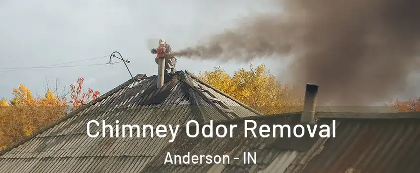  Chimney Odor Removal Anderson - IN