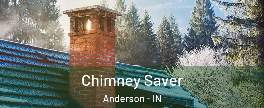  Chimney Saver Anderson - IN
