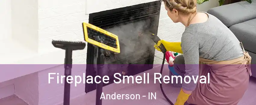  Fireplace Smell Removal Anderson - IN