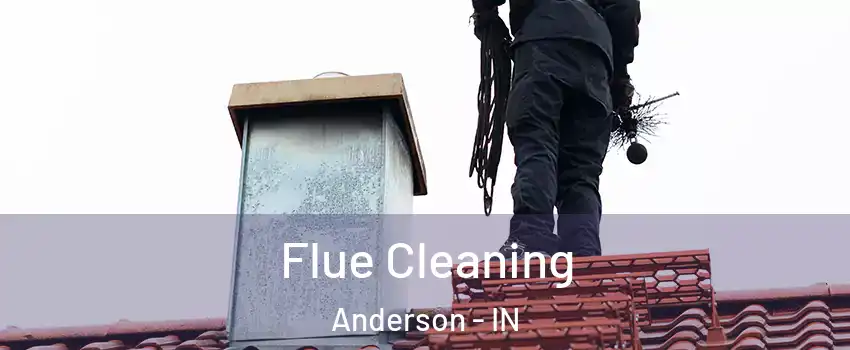  Flue Cleaning Anderson - IN