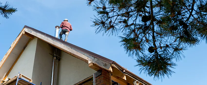 Birds Removal Contractors from Chimney in Anderson, IN