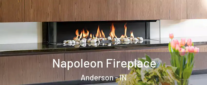  Napoleon Fireplace Anderson - IN